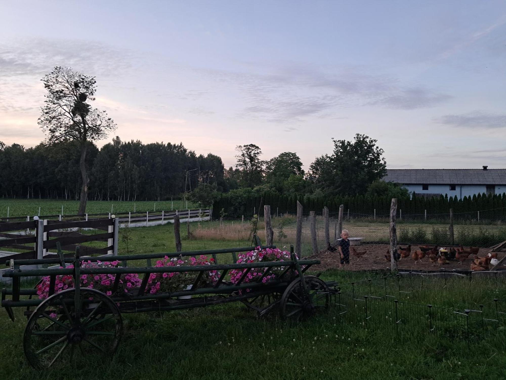 Agroturystyka Malary Pogodki Eksteriør billede